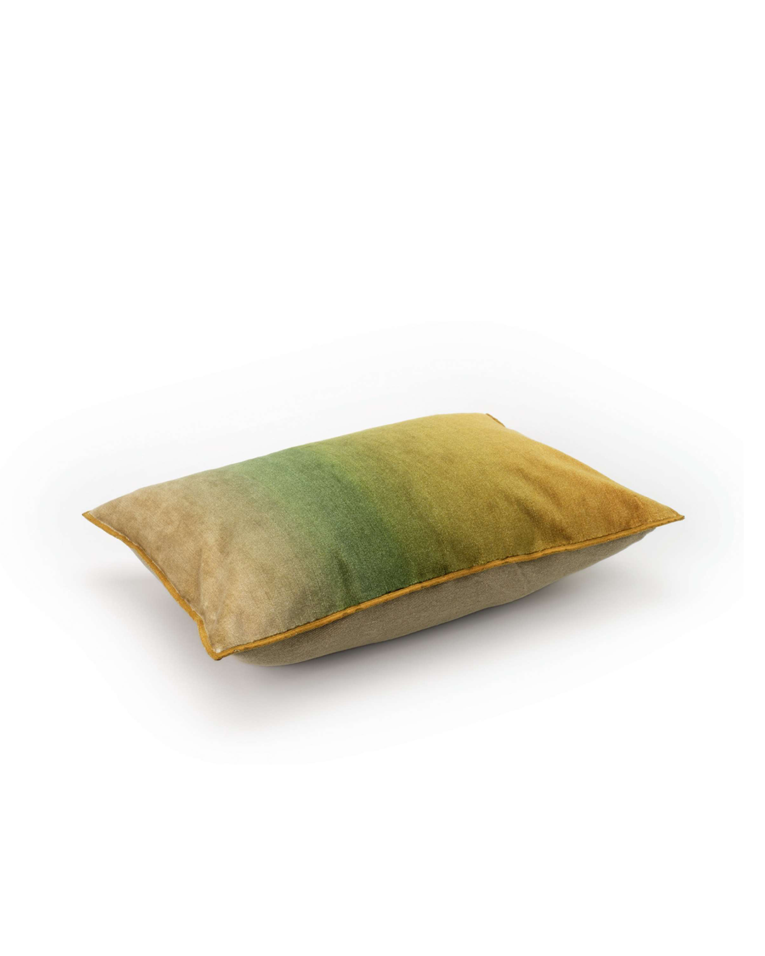 Velvet Cushion (55x40cm) Fortuné