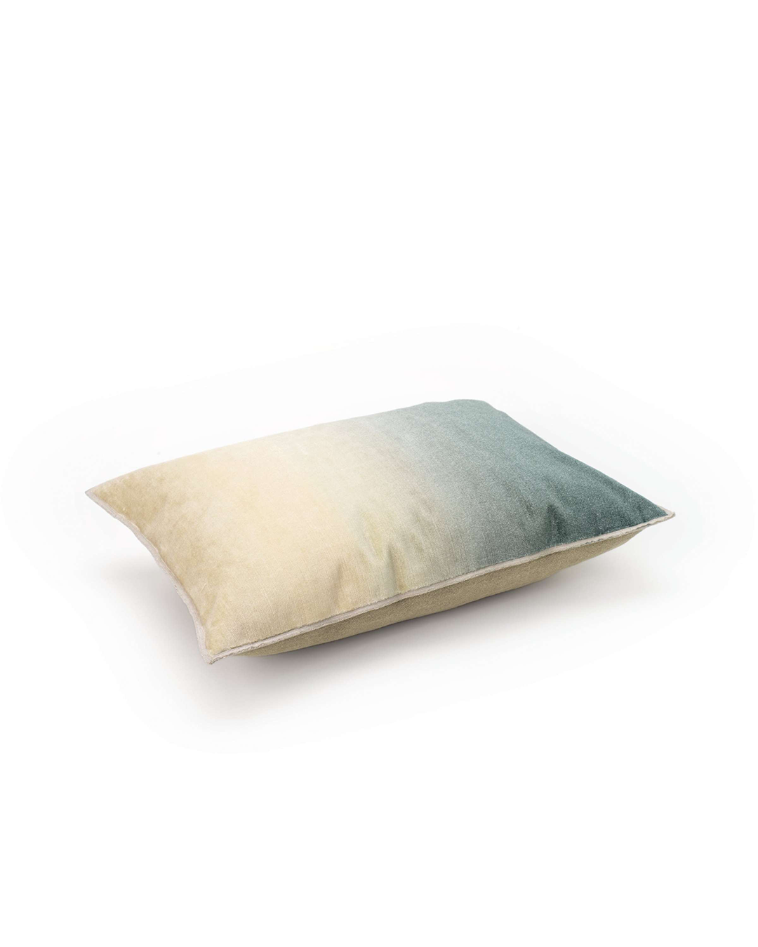 Velvet Cushion (55x40cm) Fortuné