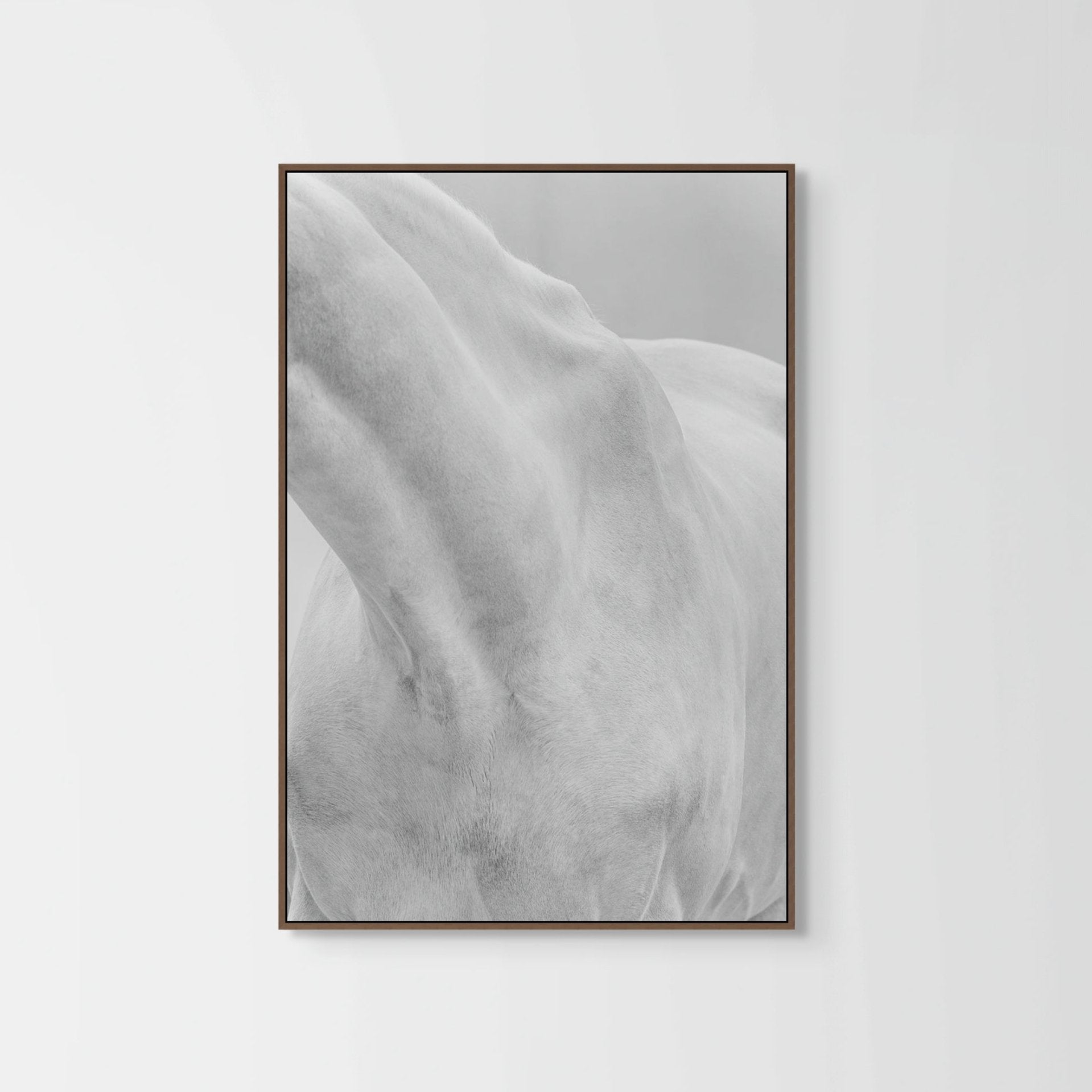 BERNI III - Impressão Fine Art