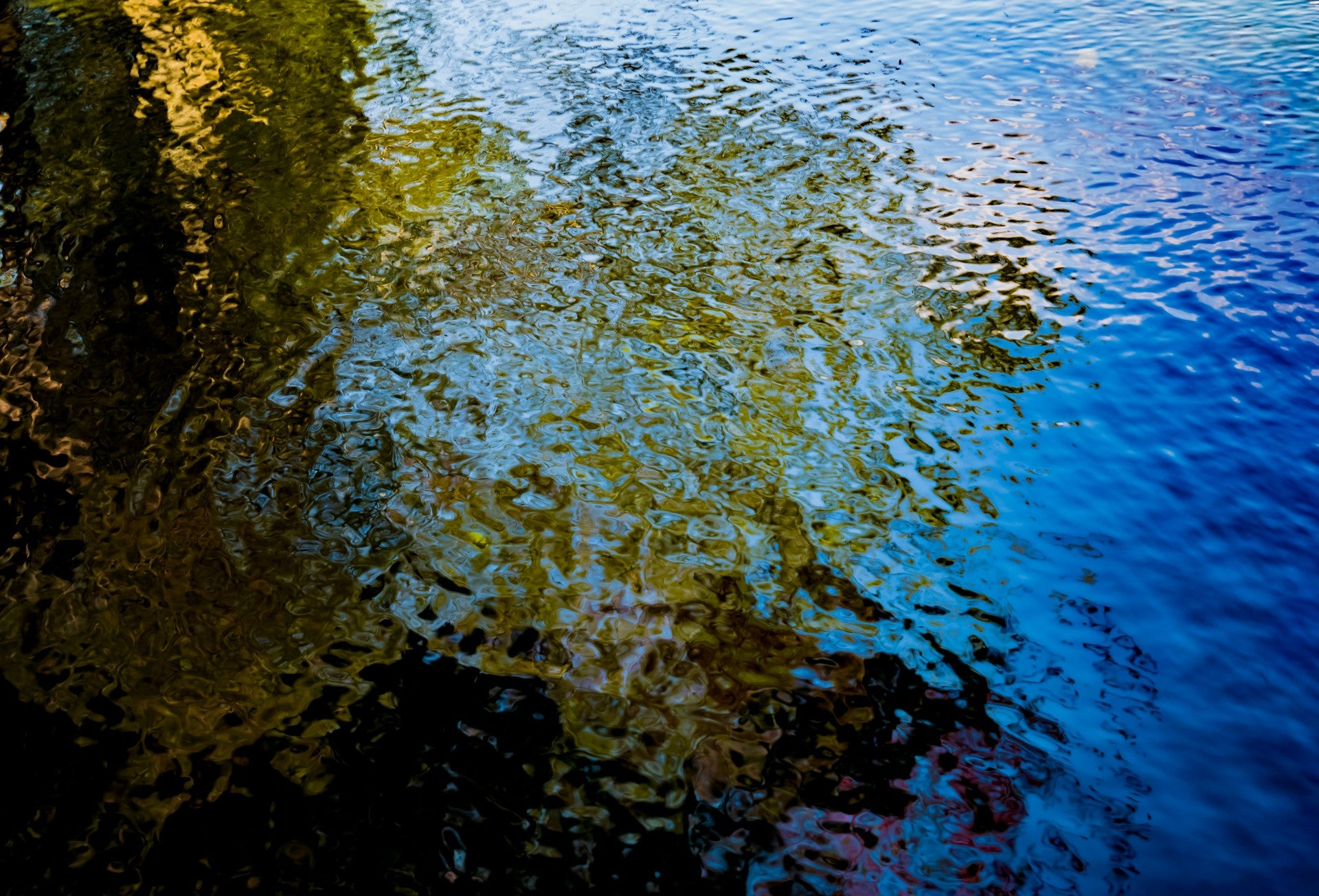 Watercolour Fotografia Duarte Guedes