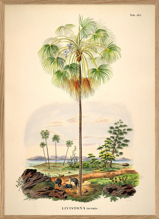 Print Palm Tree
