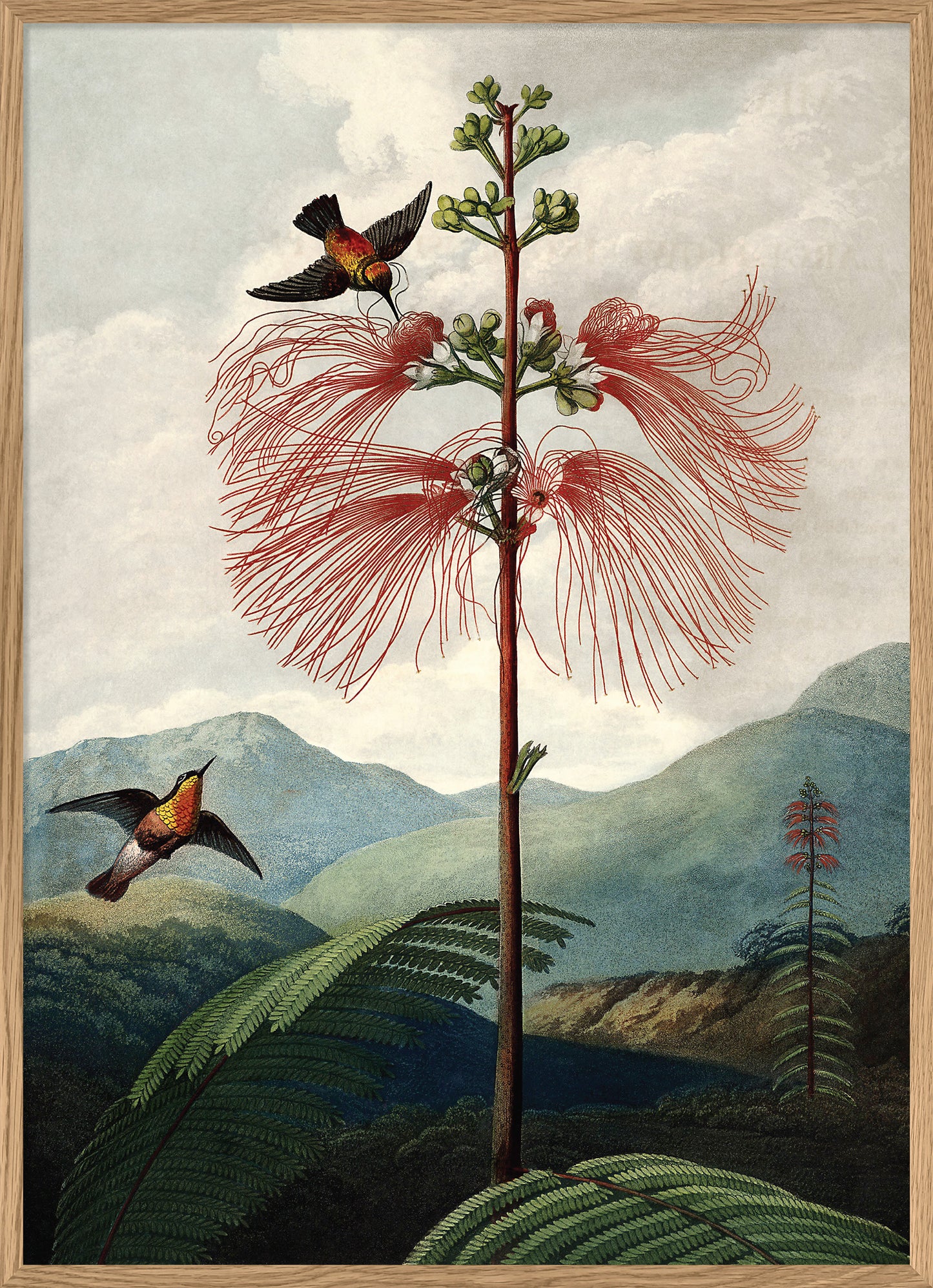Print Tree of Flower