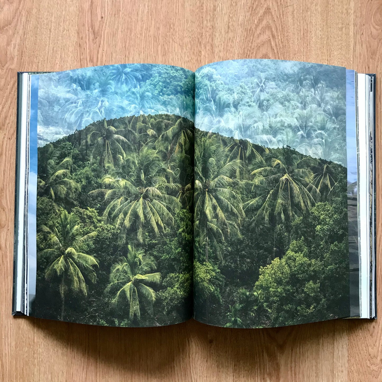 Livro "Living Nature" - Paula Guimarães