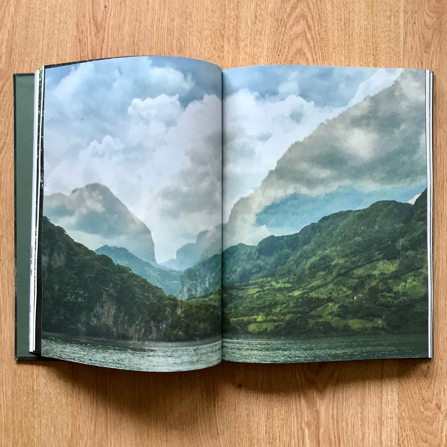 Book"Living Nature"- Paula Guimarães